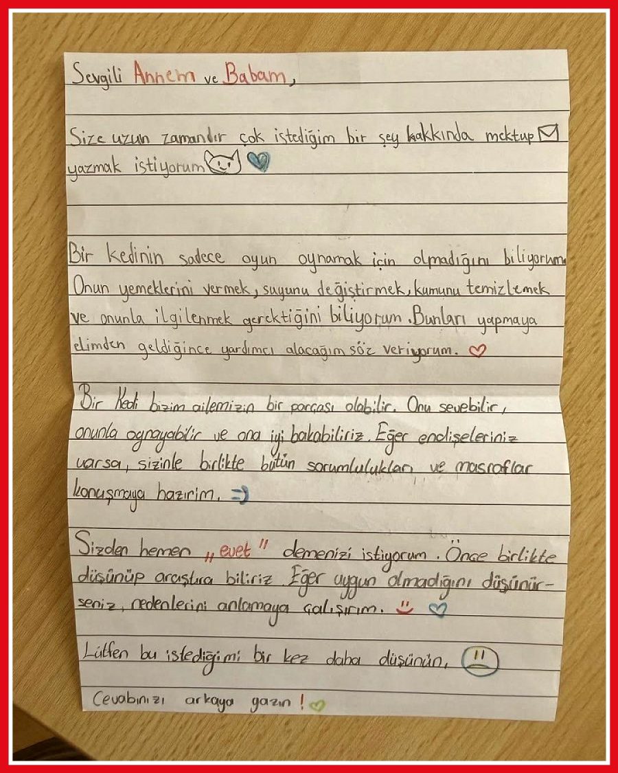 Küçük kız kedi sahiplenmek için ebeveynlerine mektup yazdı