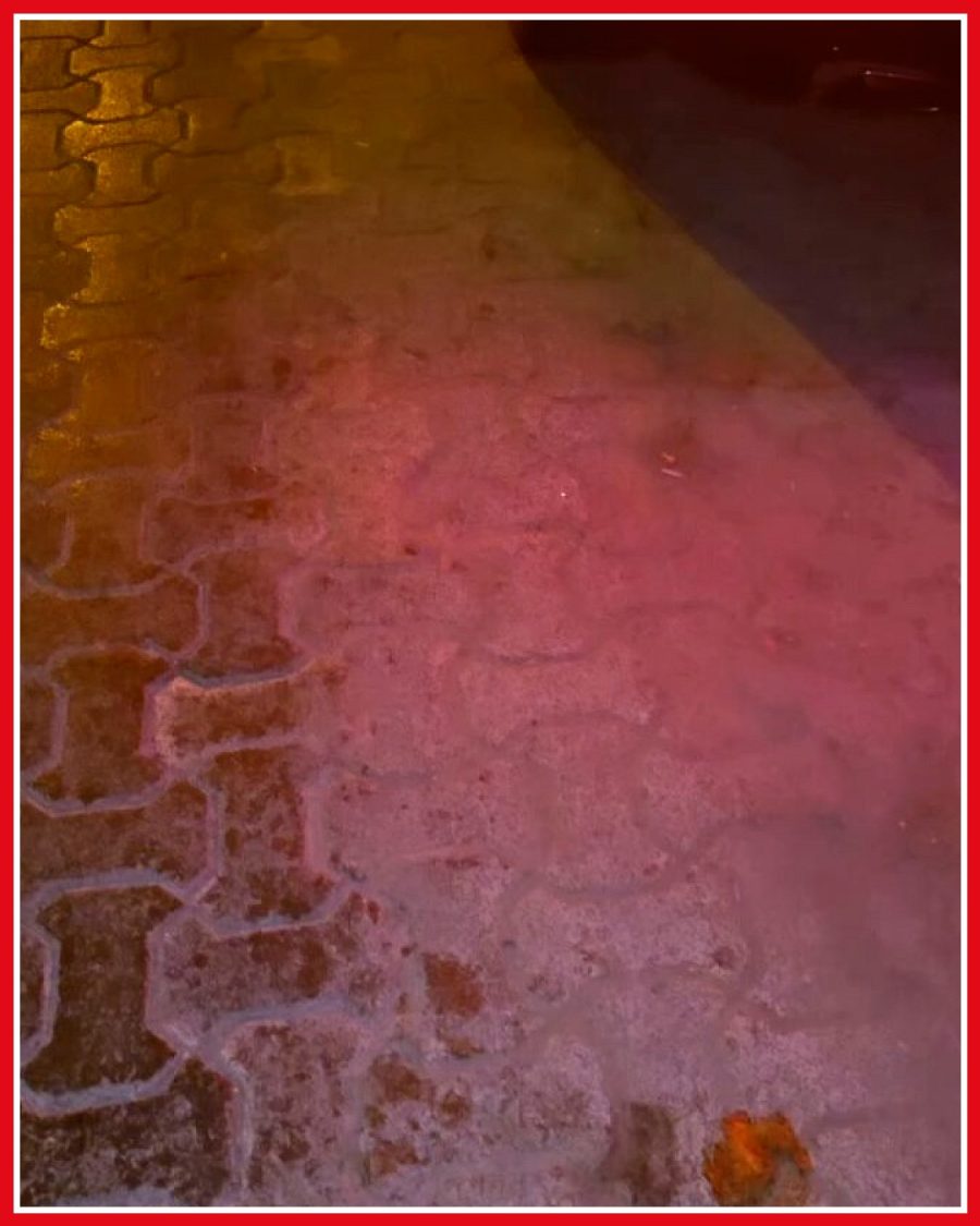 Şehir merkezinde lüks aracın kaputunu açan vatandaş şaşkınlık