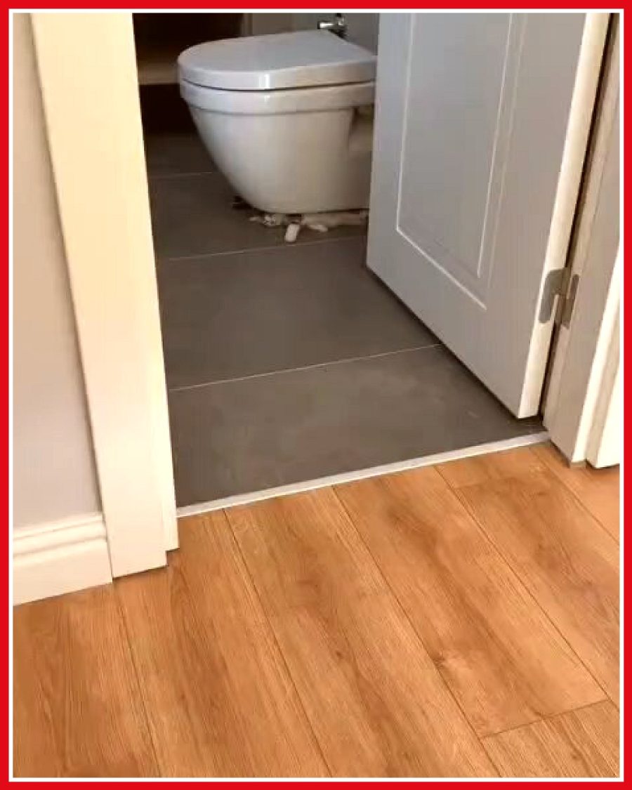Kadın, evdeki geniş alana rağmen klozetin altında uyuyan