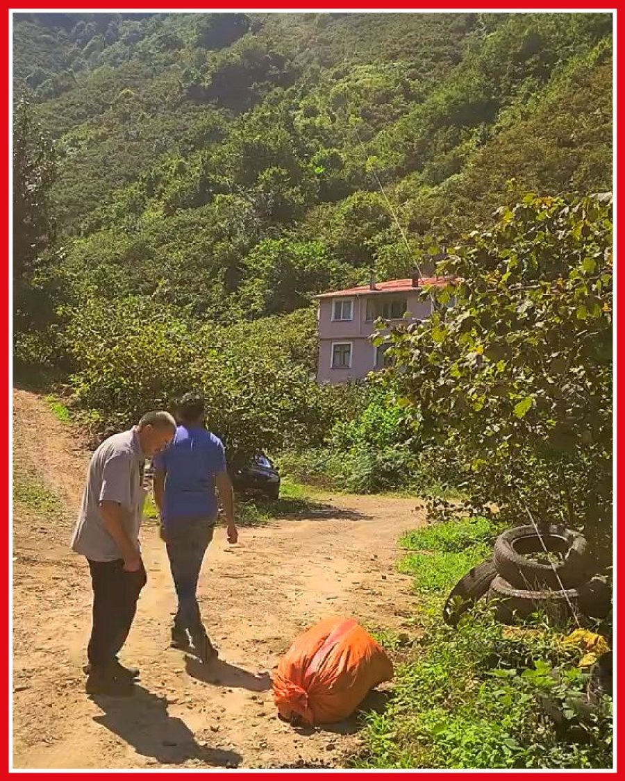Ordu'da fındık çuvalı taşıyan işçilerin yöntemi beklenmedik sorun