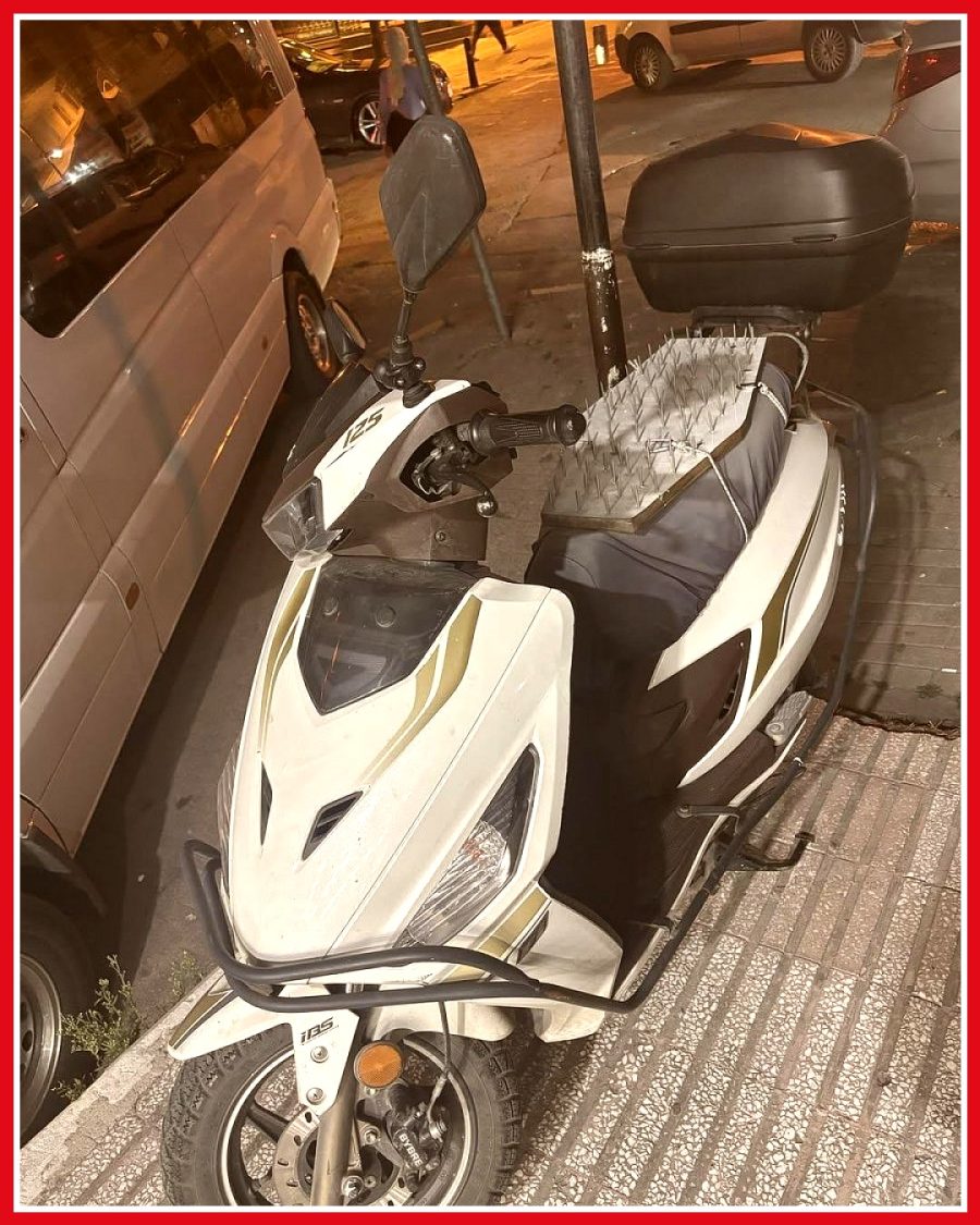 Bağcılar'da motosiklet koltuğunu kedilerden korumak için kutu kullanan