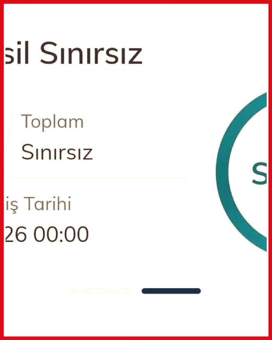 Bir vatandaşın 20 günde sınırsız internet paketinde veri kullanımı