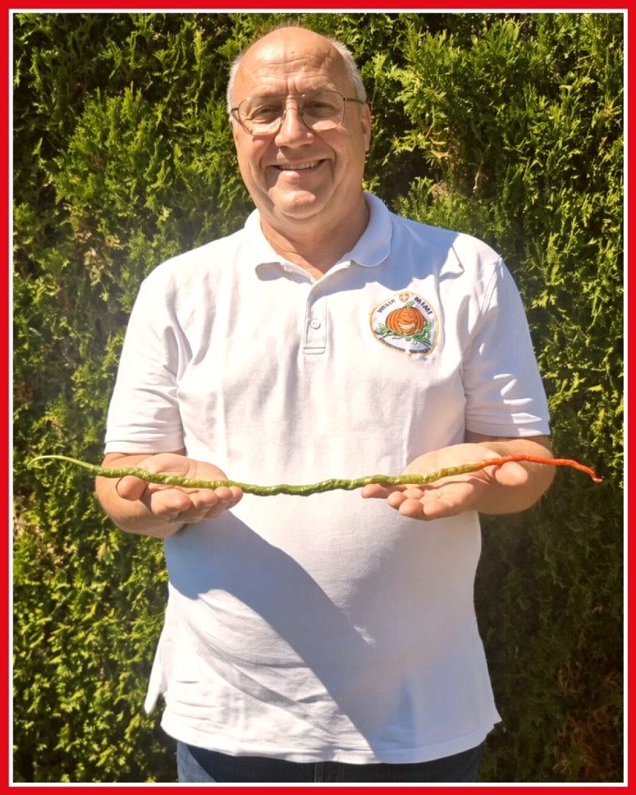 Jürg Wiesli 52,5 cm'lik biberle Guinness rekorunu kırdı