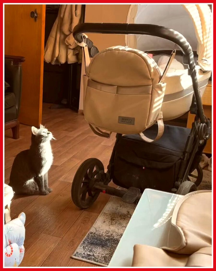 Kedi dostu yanına gelen bebek, ağlamayı kesip gülümsemeye başladı