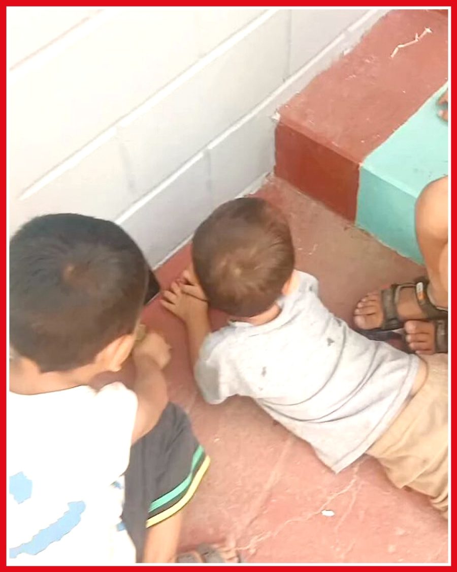 Çocukların kurbağaya video izletmesi renkli görüntüler oluşturdu