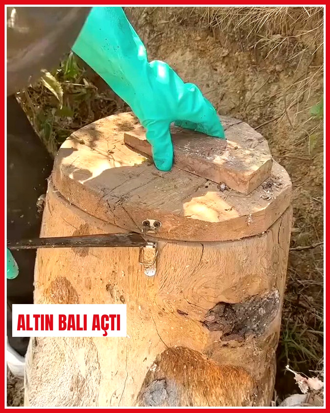 Dünyanın en pahalı ballarından biri ilk kez açıldı