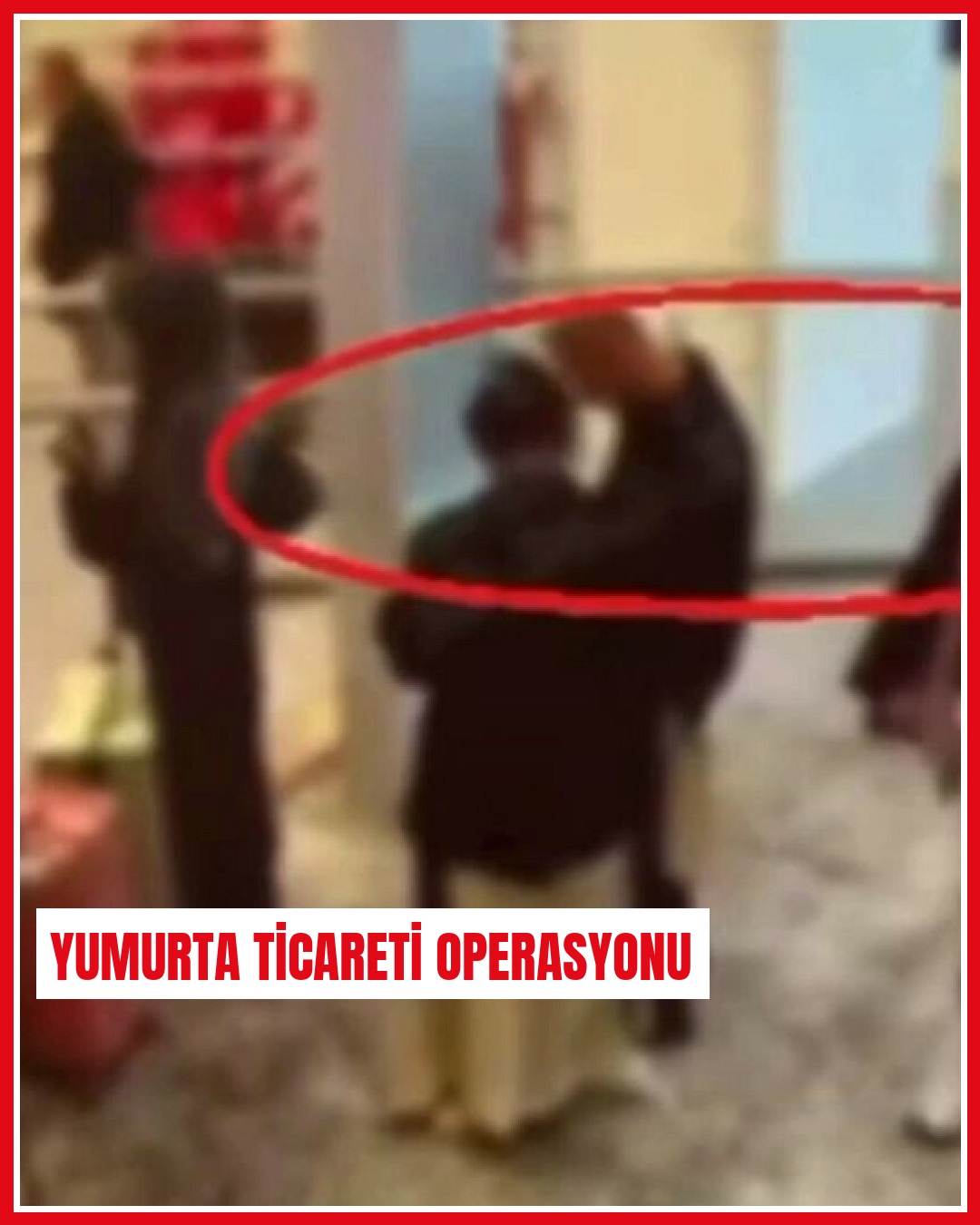 14 ilde yasa dışı üreme hücresi ticaretine operasyon