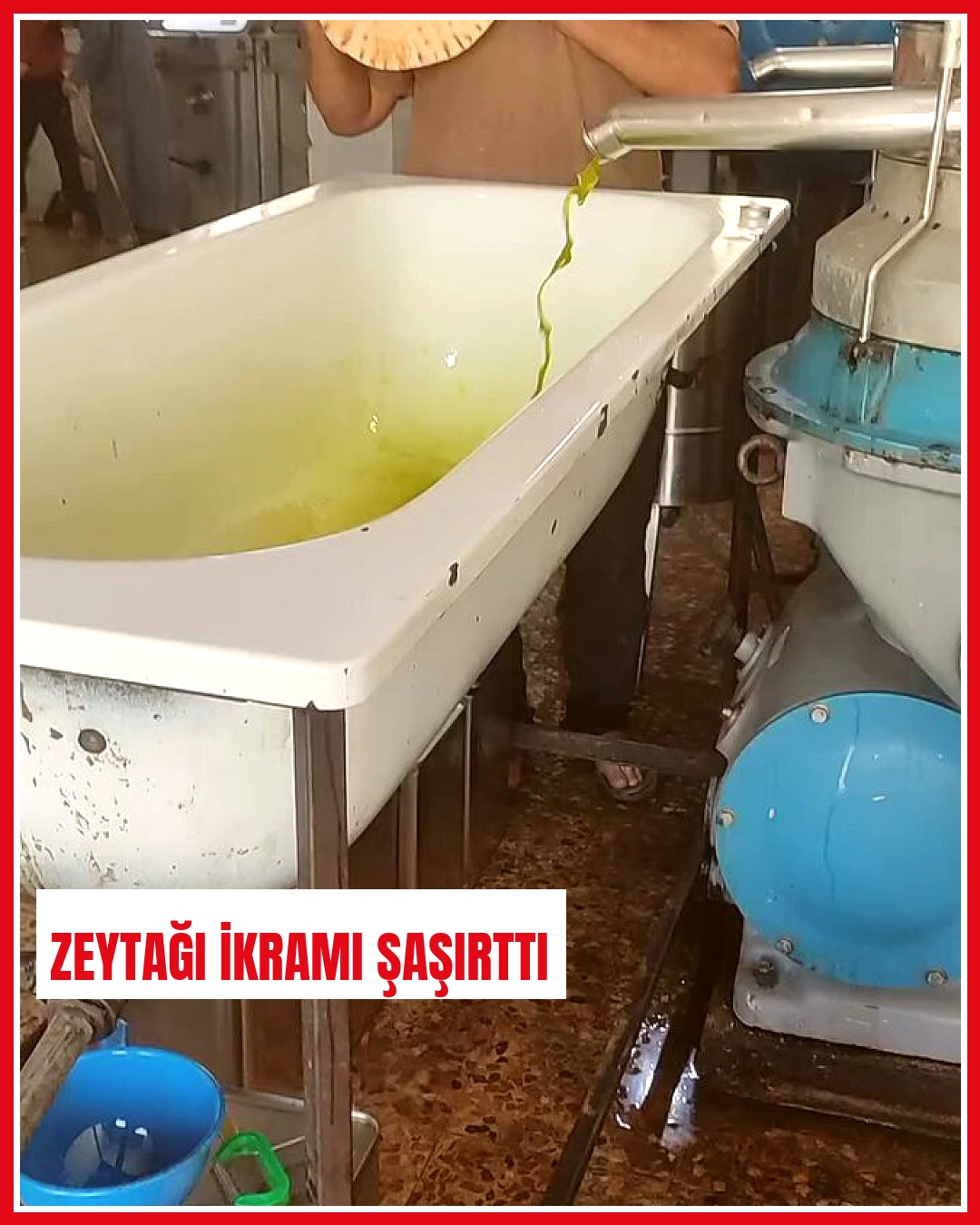 Zeytinyağı fabrikasında çalışan, ekmeği banyo küvetindeki yağla ikram