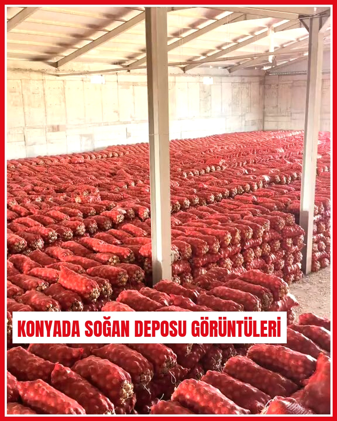 Konya'da çiftçinin soğan deposundan görüntüler