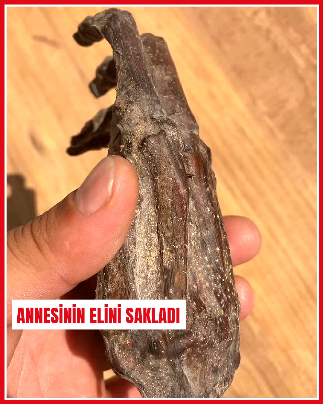 Vefat eden annesinin elini elli yıldır saklayan adam