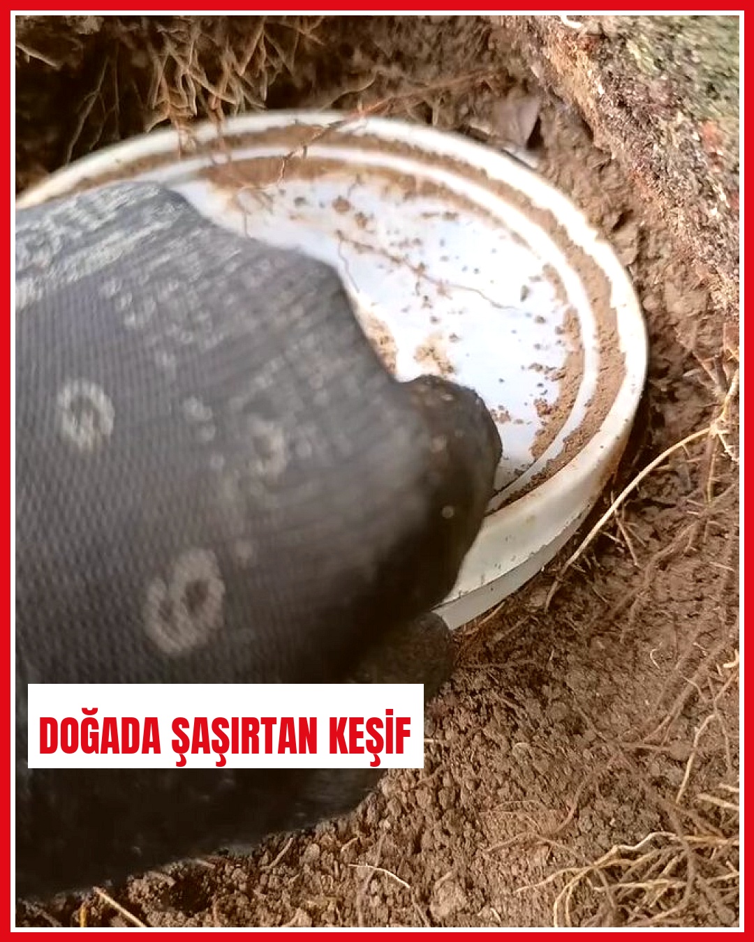 Doğa gezisinde yoğurt kabında keşfedilen büyük ekosistem dikkat